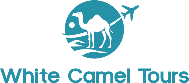 White camel Tours